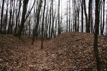 Příkop ( © Petr Nožička 03/2011)