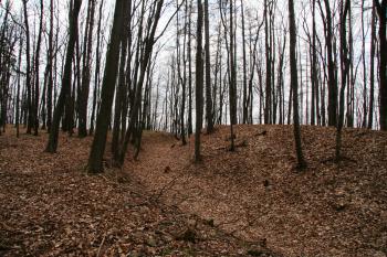 Příkop ( © Petr Nožička 03/2011)