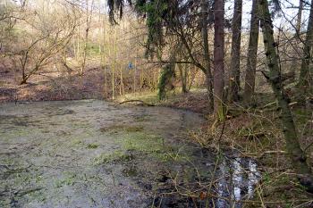Zatopený důl (© Ladislav Šingovský, 04/2011)