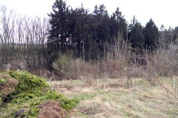 Pohled ze směru od Jinočan (© Ladislav Šingovský, 04/2011)