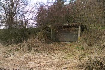 Pozůstatky těžby (© Ladislav Šingovský, 04/2011)