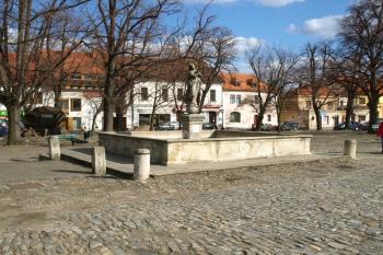  ( © Milan Caha 04/2011)