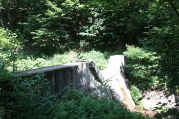 Přehrážka na Černickém potoce nad Albrechtickou štolou ( © Ivan Grisa 07/2011)