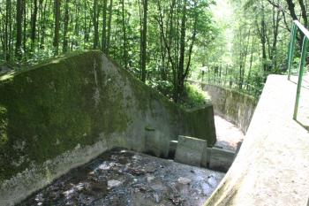 Splav na Černickém potoce nad vtokem do Albrechtické štoly ( © Ivan Grisa 07/2011)