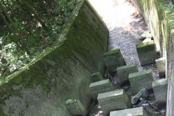 Vlnolamy na Černickém potoce nad vtokem do Albrechtické štoly ( © Ivan Grisa 07/2011)