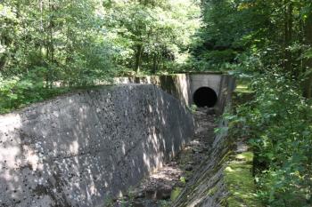 Vtok Šramnického potoka (od štoly Jezeří) ( © Ivan Grisa 07/2011)