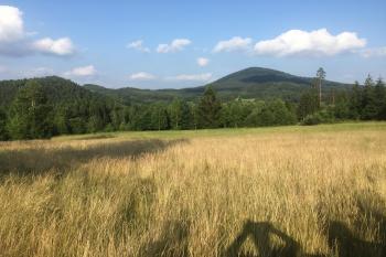 Jezevčí vrch (© Jan Němec  06/2018)