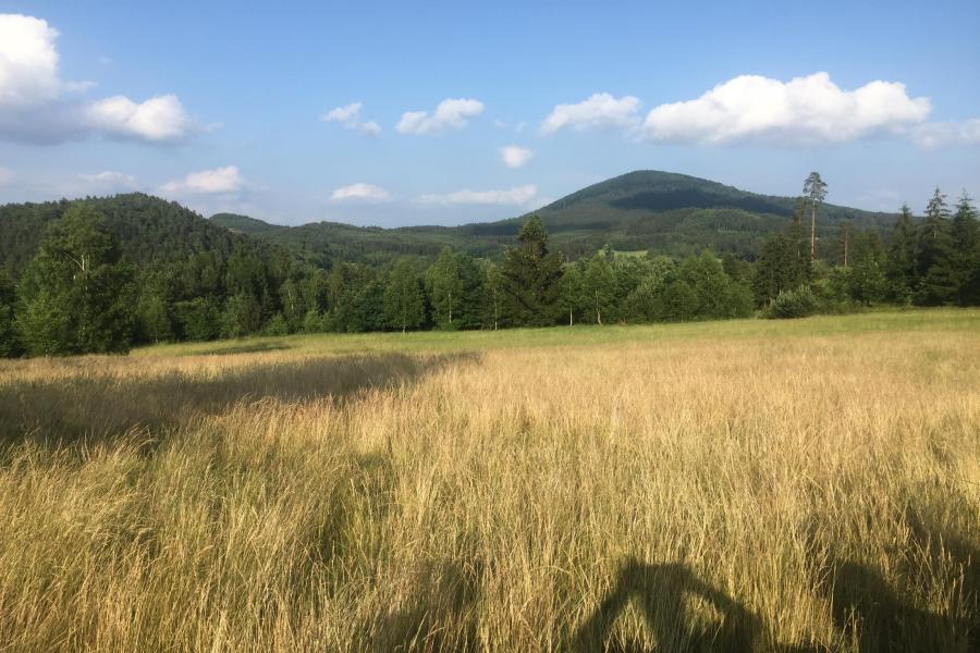 Jezevčí vrch