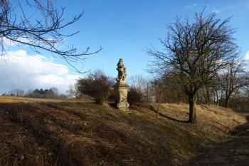  ( © Milan Caha 04/2011)