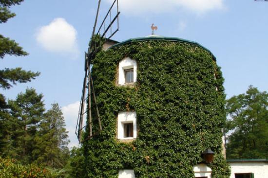 Růžová