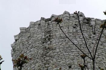 horní část věže s krakorci ( © Pavel Zany Komárek 9/5/2004)