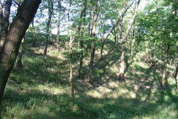 pohled na jádro hradu ze sev.příkopu (© D Dohňanský, 07/2014)