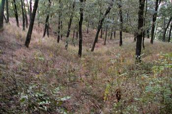 okružní příkop na severu - pohled k západu ( © Pavel Zany Komárek 19/9/2003)
