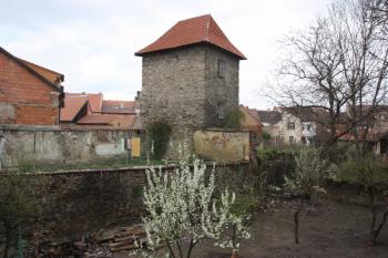 Bašta na jihovýchodním okraji města ( © Ivan Grisa 04/2011)