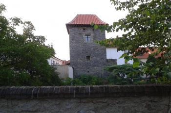 čelní pohled na zachovanou věž ( © Ondřej Štěpánek 07/2013)