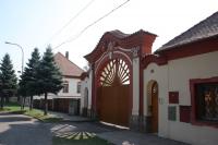 Lenešice