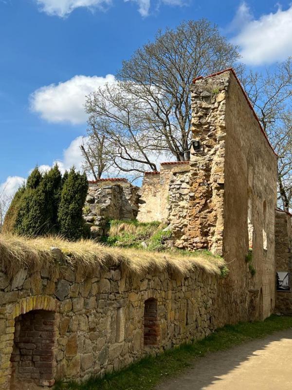 Hrad Zvíkov