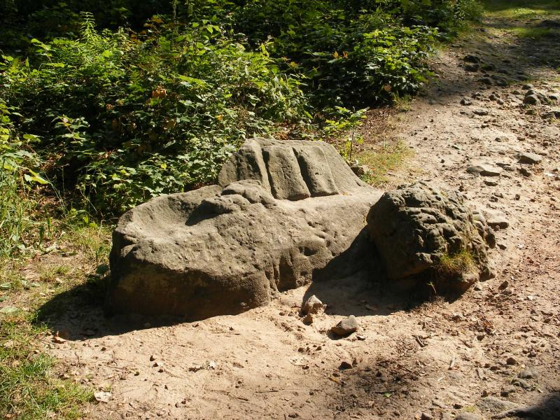 Braunovo sedátko