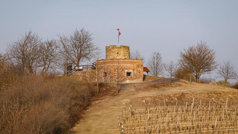 Lampelberg
