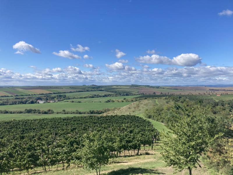 Výhled z Lampelbergu