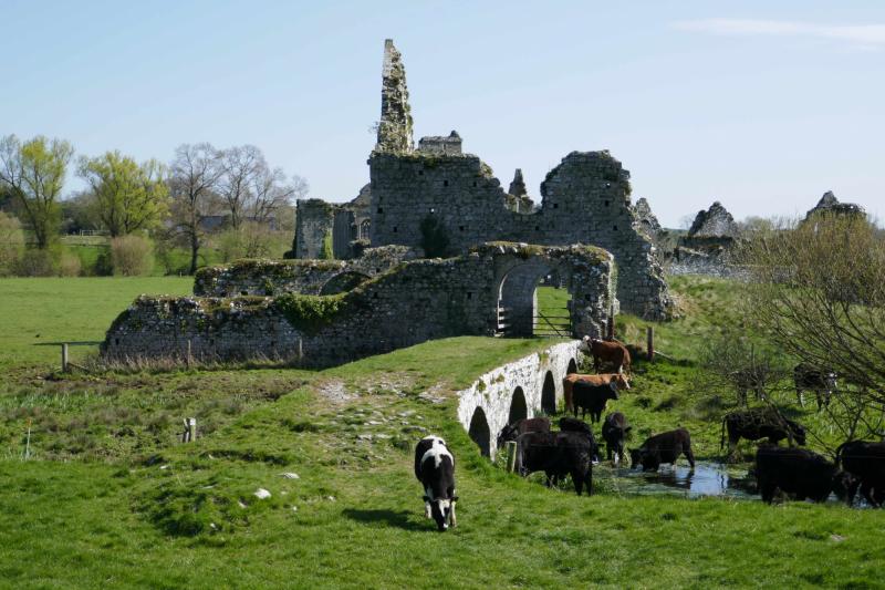 Augustiniánský klášter Athassel v hrabství Tipperary. Kláštery byly během reformace v 1. polovině 16. století zrušeny.